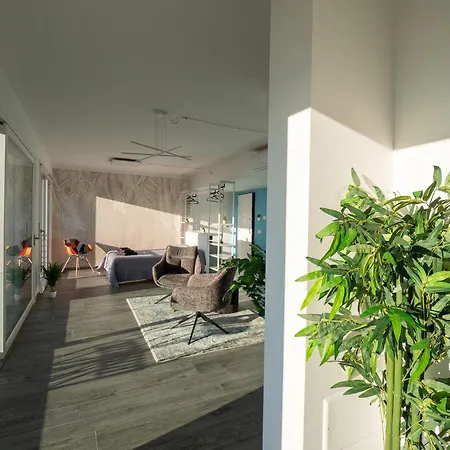 Orchidea House